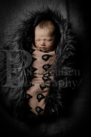 Raiden Kotula Baby Portraits 9-3-2020-0389