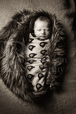 Raiden Kotula Baby Portraits 9-3-2020-0386-2