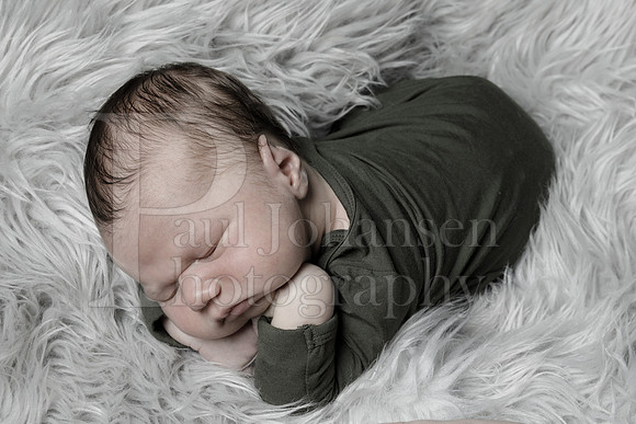 Raiden Kotula Baby Portraits 9-3-2020-0357