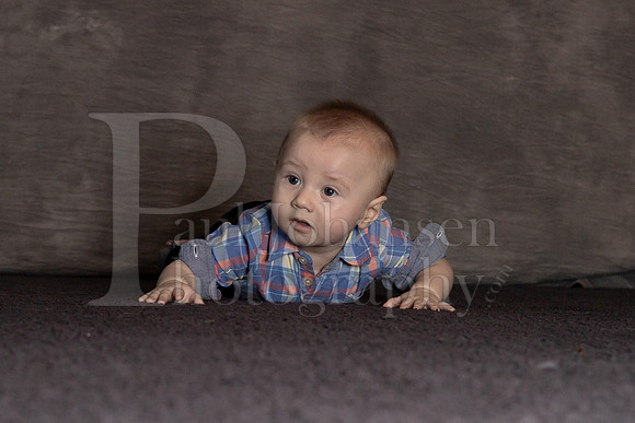 Raiden Kotula 6 Month Pics 2-28-2021-0213