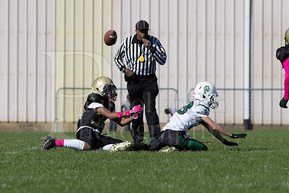 Rockford Titans vs Jr Celtics 12U Game 10-7-2023-0446
