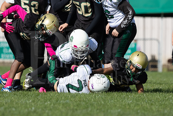 Rockford Titans vs Jr Celtics 12U Game 10-7-2023-0433