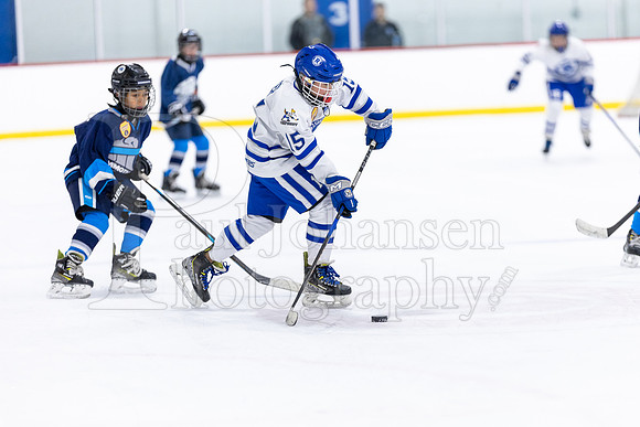 Rockford Hockey Club vs Mammoth 10-27-2024-1271