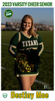 Boylan Cheer Senior 2023 Banner Destiny Moe
