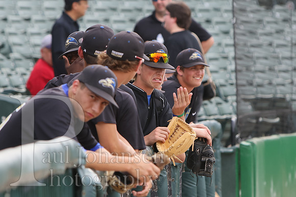 RC Varsity Baseball vs Williamsville State Final 6-6-2015-0023