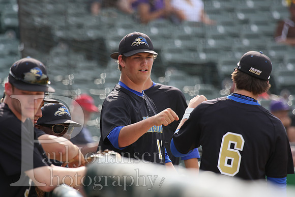 RC Varsity Baseball vs Williamsville State Final 6-6-2015-0039