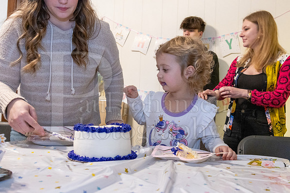 Brinley's 3rd Birthday Party 2-9-2025-1766