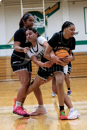 Boylan Girls Varsity Basketball vs Auburn 12-12-2025-0218