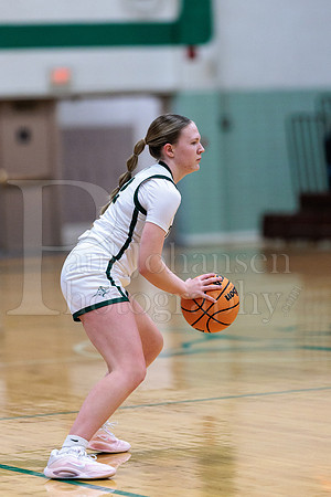 Boylan Girls Varsity Basketball vs Sycamore 12-30-2025-1109