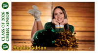 Boylan Cheer Senior Banner Sophie Ardian