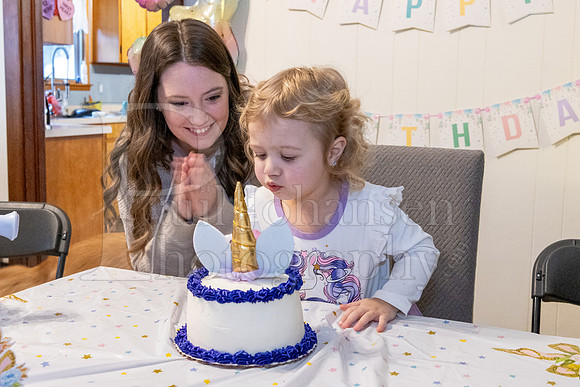 Brinley's 3rd Birthday Party 2-9-2025-1738