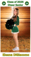 BoylanWinter Cheer Banner Eleana DiGiacomo