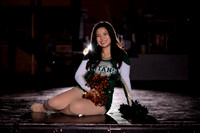 Boylan Winter Dance Banner Shoot 1-21-2026-0005
