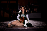 Boylan Winter Dance Banner Shoot 1-21-2026-0007