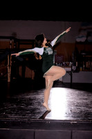 Boylan Winter Dance Banner Shoot 1-21-2026-0021