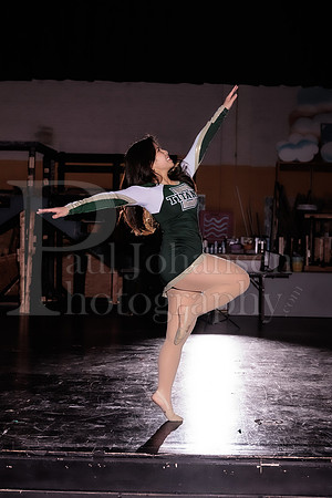 Boylan Winter Dance Banner Shoot 1-21-2026-0022