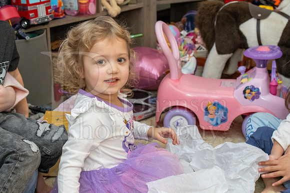 Brinley's 3rd Birthday Party 2-9-2025-1610