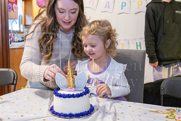 Brinley's 3rd Birthday Party 2-9-2025-1749