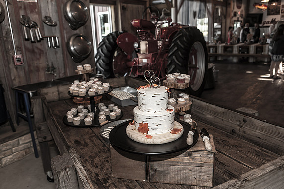 Bauman Stith Wedding 7-15-2017-1554