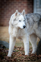 Kato's 14th Birthday Photo Shoot 2-14-2026-0011