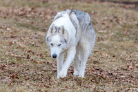 Kato's 14th Birthday Photo Shoot 2-14-2026-0012