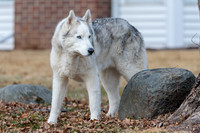Kato's 14th Birthday Photo Shoot 2-14-2026-0009