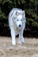 Kato's 14th Birthday Photo Shoot 2-14-2026-0027