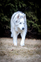 Kato's 14th Birthday Photo Shoot 2-14-2026-0030