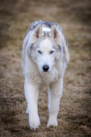 Kato's 14th Birthday Photo Shoot 2-14-2026-0033