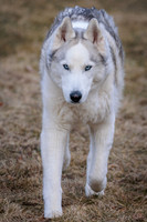 Kato's 14th Birthday Photo Shoot 2-14-2026-0034