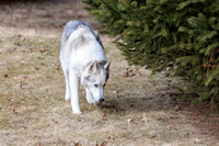 Kato's 14th Birthday Photo Shoot 2-14-2026-0022