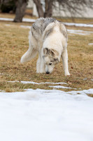 Kato's 14th Birthday Photo Shoot 2-14-2026-0035