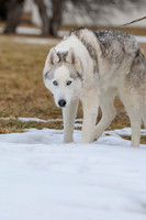 Kato's 14th Birthday Photo Shoot 2-14-2026-0038