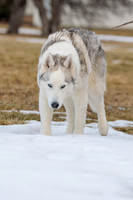 Kato's 14th Birthday Photo Shoot 2-14-2026-0043