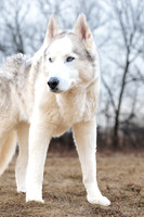 Kato's 14th Birthday Photo Shoot 2-14-2026