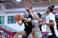 Rockford Christian Girls Varsity Basketball vs NS Country Day Super Sectionals 3-2-2026