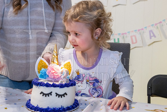 Brinley's 3rd Birthday Party 2-9-2025-1715