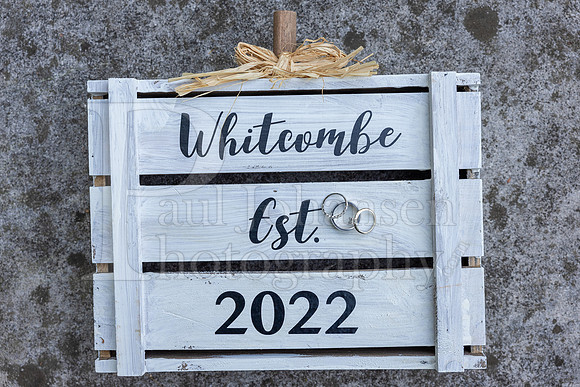 Johnson Whitcombe Wedding 10-1-2022-1904