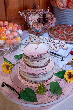 Johnson Whitcombe Wedding 10-1-2022-1642