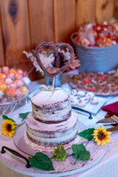 Johnson Whitcombe Wedding 10-1-2022-1645