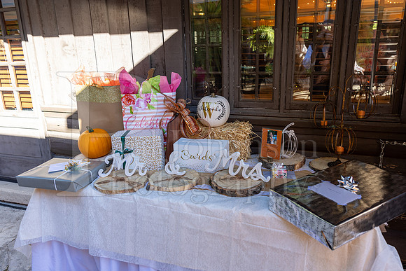 Johnson Whitcombe Wedding 10-1-2022-1652