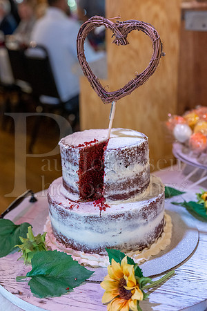 Johnson Whitcombe Wedding 10-1-2022-1806