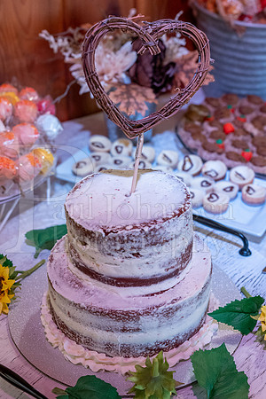 Johnson Whitcombe Wedding 10-1-2022-1644