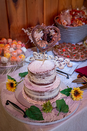 Johnson Whitcombe Wedding 10-1-2022-1643