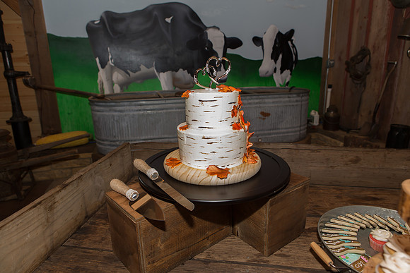 Bauman Stith Wedding 7-15-2017-1538