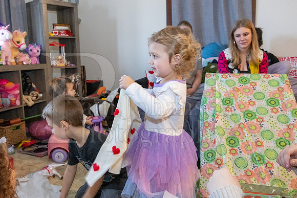 Brinley's 3rd Birthday Party 2-9-2025-1627