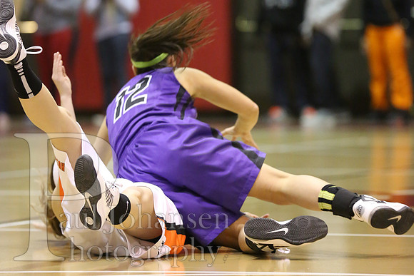 Rockford Rising Stars Girls Basketball 4-13-2013-7468