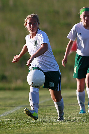 Boylan Girls Varisty Soccer vs Dekalb Sectional Final 5-30-2104-0772