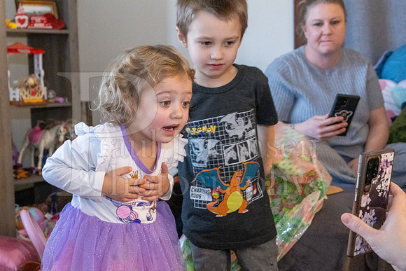 Brinley's 3rd Birthday Party 2-9-2025-1645