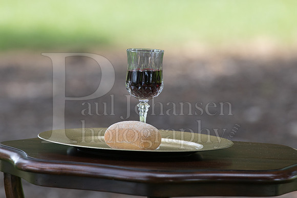 Hills Ernesti Wedding 7-31-2020-0284